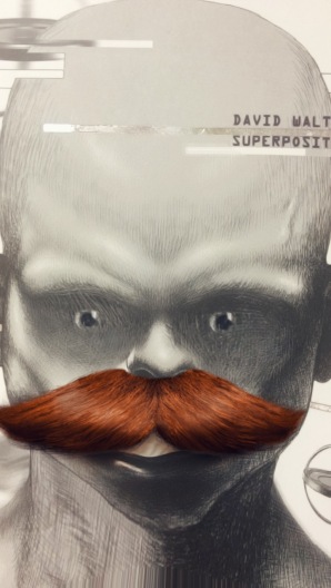 Superposition de David Walton moustache